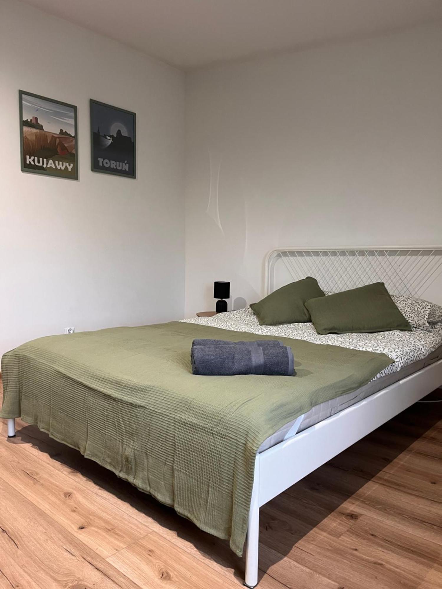 Apartament Estera Stary Toruń Zewnętrze zdjęcie